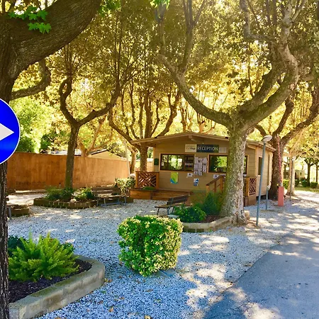Mobile Homes Cinque Terre 阿梅利亚